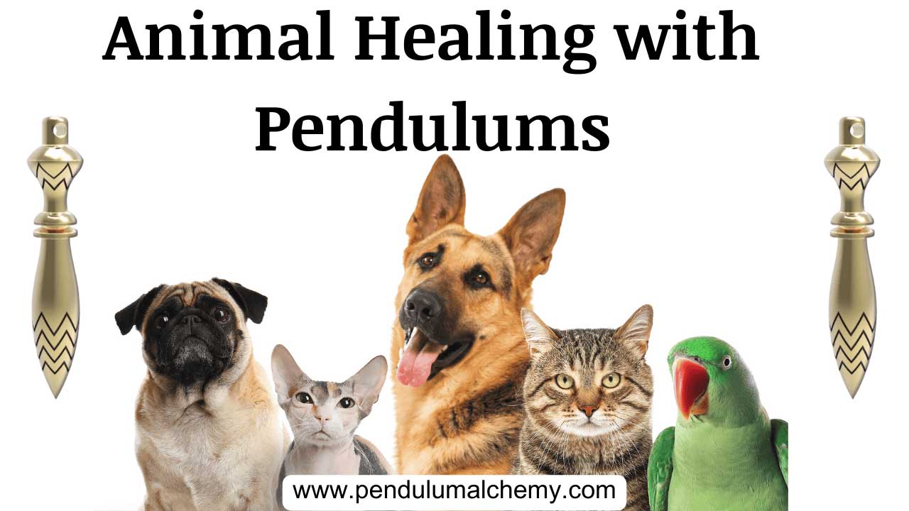 prod-courses-animal-healing